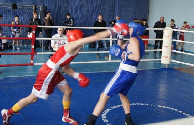 В Белой Калитве прошло первенство Ростовской области по боксу